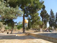 Rundreise Israel - Jerusalem, Tempelberg &ndash; &copy; Franziska Bergmann (Eberhardt TRAVEL)