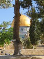 Rundreise Israel - Jerusalem, Tempelberg &ndash; &copy; Franziska Bergmann (Eberhardt TRAVEL)