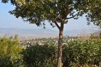 Blick auf Zippori &ndash; &copy; Gina Egenolf (Eberhardt TRAVEL)