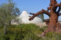 Schrein des Buches und Baum von Ei Wei Wei &ndash; &copy; Gina Egenolf (Eberhardt TRAVEL)