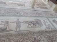 Bodenmosaike im 
