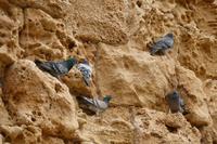 Akko – 2 (6) &ndash; &copy; Alexander Zachow (Eberhardt TRAVEL)