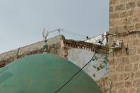 Akko – 2 (19)