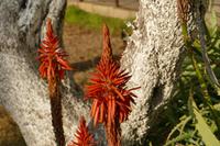 Jerusalem – 3 (20) &ndash; &copy; Alexander Zachow (Eberhardt TRAVEL)