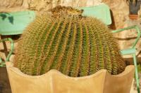Jerusalem – 3 (21) &ndash; &copy; Alexander Zachow (Eberhardt TRAVEL)
