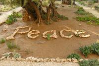 Jerusalem – 3 (28) &ndash; &copy; Alexander Zachow (Eberhardt TRAVEL)