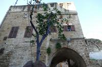 Tel Aviv – 1 (4) &ndash; &copy; Alexander Zachow (Eberhardt TRAVEL)
