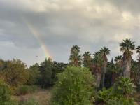 Regenbogen &ndash; &copy; Marianne Förster (Eberhardt TRAVEL)