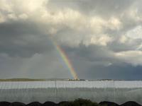 Regenbogen &ndash; &copy; Marianne Förster (Eberhardt TRAVEL)