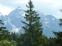 Anreise-Brenner &ndash; &copy; Ilona Dressel (Eberhardt TRAVEL)
