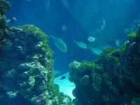 Im Ozeanografische Museum &ndash; &copy; Ilona Dressel (Eberhardt TRAVEL)