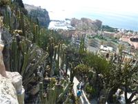 Tolle Anpflanzung &ndash; &copy; Ilona Dressel (Eberhardt TRAVEL)