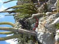 Wie Mexiko &ndash; &copy; Ilona Dressel (Eberhardt TRAVEL)