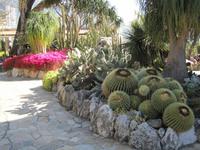 Exotischer Garden in Monaco