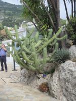 Algave im Exotischen Garten &ndash; &copy; Wilfried Briol (Eberhardt TRAVEL)