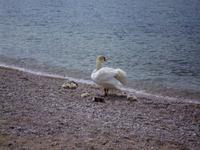 &copy; Angelika Werner (Eberhardt TRAVEL)