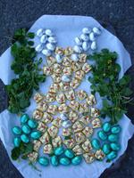unser Osterhase &ndash; &copy; Claudia Bernhardt (Eberhardt TRAVEL)
