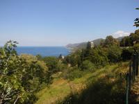 Pino  &ndash; &copy; Michael Krause (Eberhardt TRAVEL)