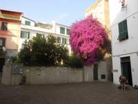 Noli &ndash; &copy; Michael Krause (Eberhardt TRAVEL)