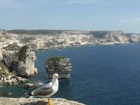 Bonifacio &ndash; &copy; Claudia Bernhardt (Eberhardt TRAVEL)