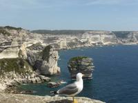 Bonifacio  &ndash; &copy; Claudia Bernhardt (Eberhardt TRAVEL)