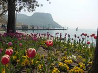 Garda - Frühling  &ndash; &copy; Claudia Bernhardt (Eberhardt TRAVEL)