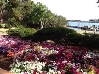 Porto Cervo &ndash; &copy; Uta Schöne (Eberhardt TRAVEL)