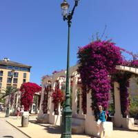 Ajaccio &ndash; &copy; Uta Schöne (Eberhardt TRAVEL)