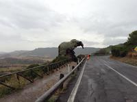 der Elefant &ndash; &copy; Uta Schöne (Eberhardt TRAVEL)