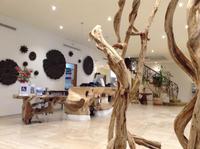 im Hotel