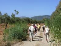 Tag 7 - 2 - Spaziergang durch die Landschaft (1) &ndash; &copy; Sabine Heitzer (Eberhardt TRAVEL)
