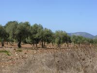Tag 7 - 2 - Spaziergang durch die Landschaft (2) &ndash; &copy; Sabine Heitzer (Eberhardt TRAVEL)