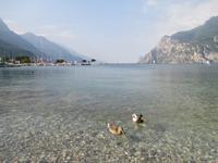 Torbole &ndash; &copy; Petra Sauer (Eberhardt TRAVEL)