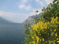 Torbole