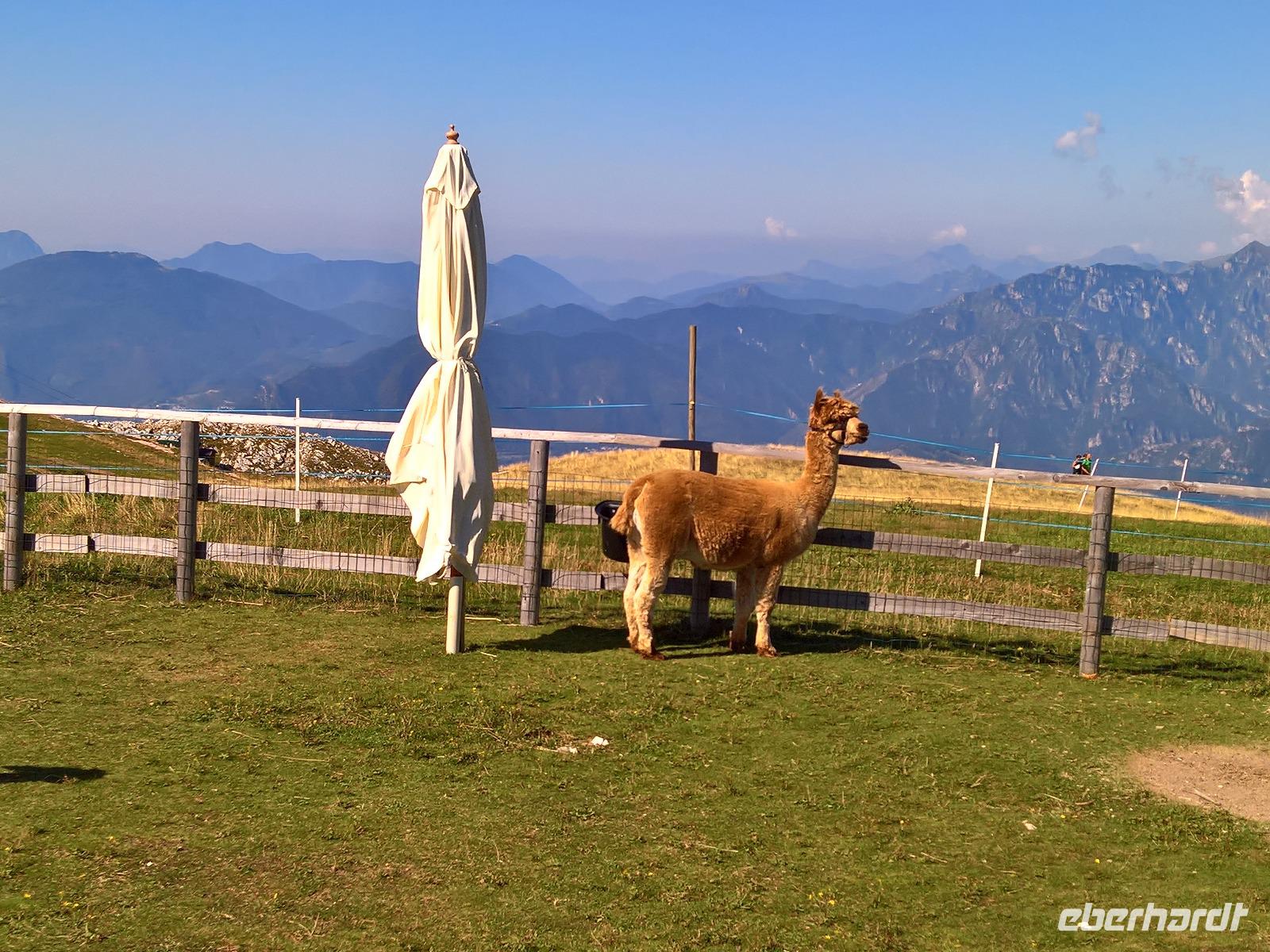 Einfach sanft und schön  ! &ndash; &copy; Gerd Pierschek (Eberhardt TRAVEL)