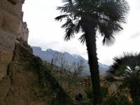 Blick zum Monte Baldo &ndash; &copy; Ingrid Langer (Eberhardt TRAVEL)