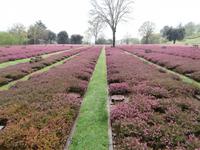 Deutscher Soldatenfriedhof Costermano &ndash; &copy; Ingrid Langer (Eberhardt TRAVEL)