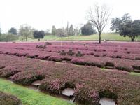 Deutscher Soldatenfriedhof Costermano &ndash; &copy; Ingrid Langer (Eberhardt TRAVEL)