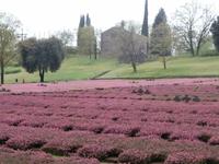 Deutscher Soldatenfriedhof Costermano &ndash; &copy; Ingrid Langer (Eberhardt TRAVEL)
