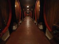 Zonin - Weingut &ndash; &copy; Ingrid Langer (Eberhardt TRAVEL)