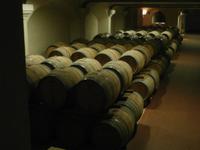 Zonin - Weingut &ndash; &copy; Ingrid Langer (Eberhardt TRAVEL)