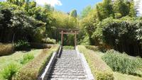 4-Villa Carlotta_002 &ndash; &copy; Petra Sauer (Eberhardt TRAVEL)