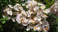 5-Heller Garten_002 &ndash; &copy; Petra Sauer (Eberhardt TRAVEL)