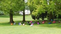 61-Park Sigurta_063