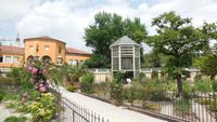 82-Botan Garten Padua_002 &ndash; &copy; Petra Sauer (Eberhardt TRAVEL)