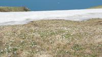 9-Monte Baldo_003 &ndash; &copy; Petra Sauer (Eberhardt TRAVEL)