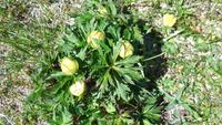 9-Monte Baldo_006 &ndash; &copy; Petra Sauer (Eberhardt TRAVEL)