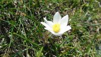 9-Monte Baldo_016 -  &ndash; &copy; Petra Sauer (Eberhardt TRAVEL)