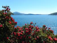 Isola Bella &ndash; &copy; Petra Sauer (Eberhardt TRAVEL)