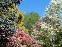 Isola Madre &ndash; &copy; Petra Sauer (Eberhardt TRAVEL)